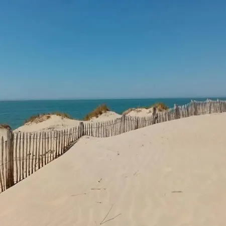 En Bord De Camiers